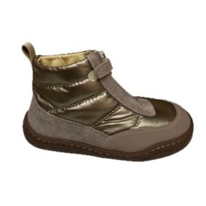 Botin dorado Andanines