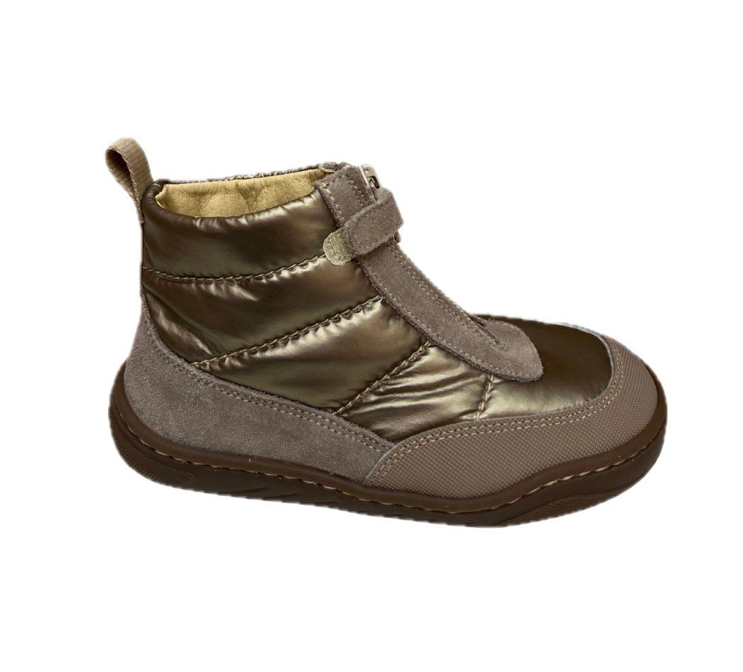 Botin dorado Andanines